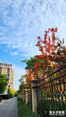 這顏色看著舒服啊