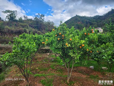 家鄉(xiāng)美景