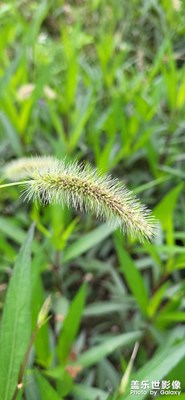 仔細(xì)看，還是經(jīng)不起推敲