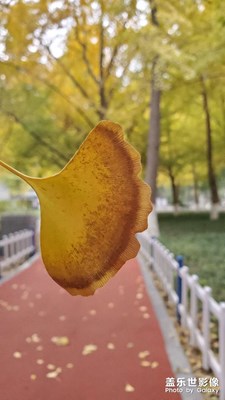 解封后的公園美景