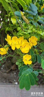 不下雨就是好天氣