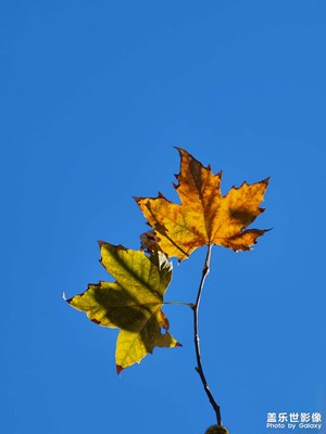 【難忘2022】擁有22u的快樂