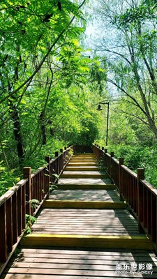 【難忘2022】難忘瞬間