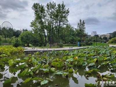 【難忘2022】游園