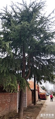 【難忘2022】+極不平凡的一年