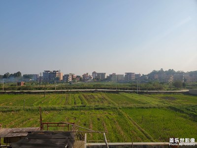 【生活隨拍】+ 日常