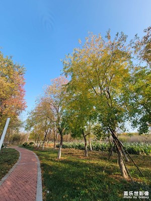 【難忘2022】+又是沒(méi)出門旅游的一年