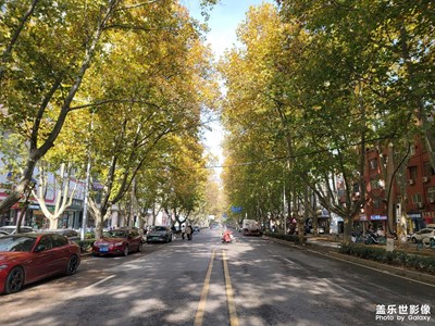 【難忘2022】在鄭州居家的日子