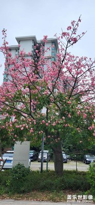 滿大街都換上N95了