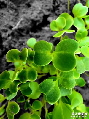 【生活隨拍】+心情