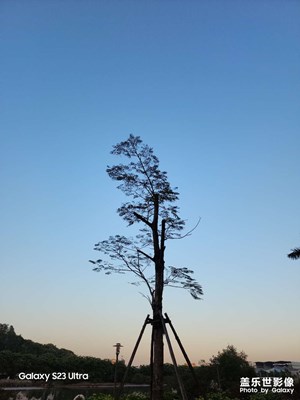 晚霞時(shí)光