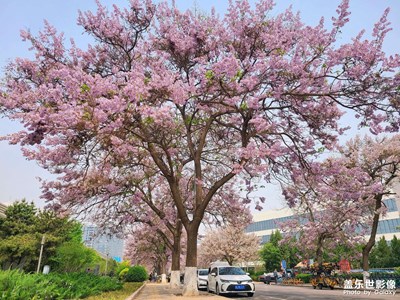 【難忘2022】+春之美