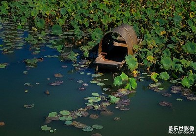 【難忘2022】+船