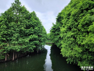 【難忘2022】+ 新年新氣象