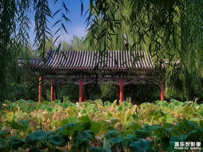 【難忘2022】+回首2022