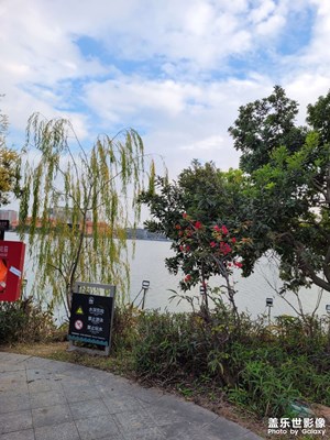 【喜迎新年】+出去玩啦元旦新年快樂(lè)