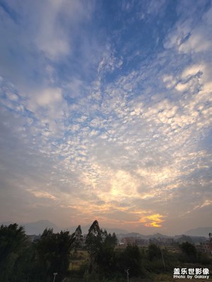 note20ultra拍的一些照片