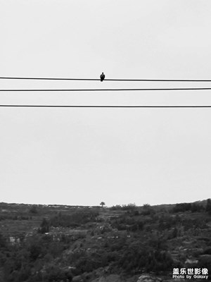 【回家路上】+風(fēng)景在路上