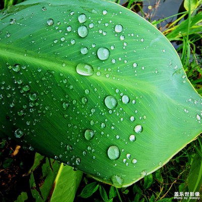 【回家路上】+今年不回家啦