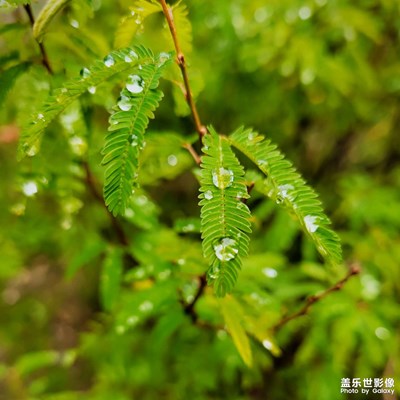 千燈湖溜達溜達