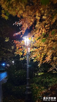 冬天