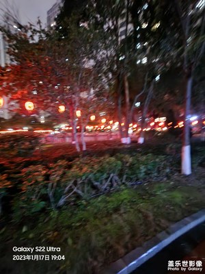 節(jié)日快樂
