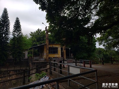 【新年快樂】游玩回憶（新）