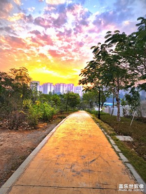 風景