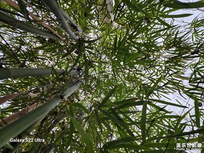 在武漢的時光——旅行影集