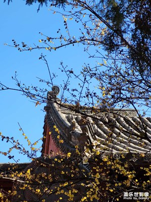 洛陽(yáng)風(fēng)景