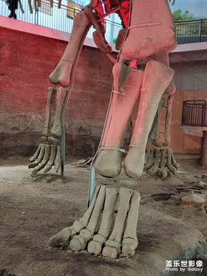 恐龍地質(zhì)博物館