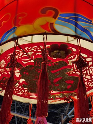 【鬧元宵】正月里來賞花燈