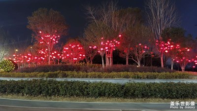 【鬧元宵】+游園的禮品