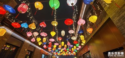 日常隨拍之（觀花燈）