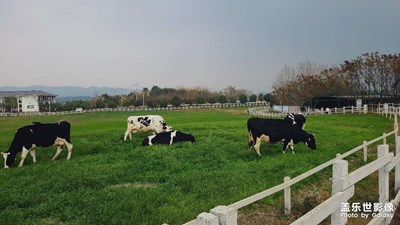 德陽原野牧場(chǎng)