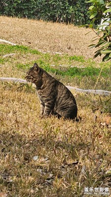 【靜美時(shí)分】+?遇見美景