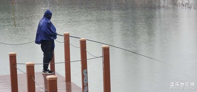 日常隨拍之（雨中釣魚）