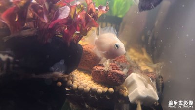 【碎片日?！??生活隨拍