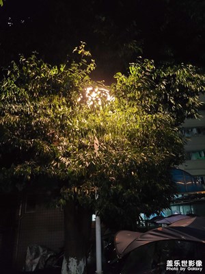 【碎片日常】+生活學(xué)習(xí)