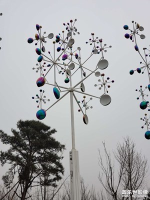 【清淺時光】+?閑逛公園