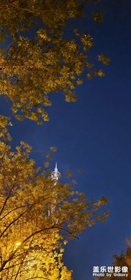 【清淺時光】+ 小時光碎片