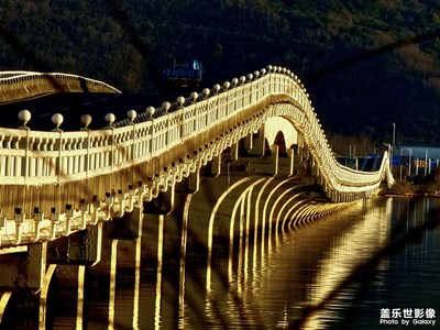 橋