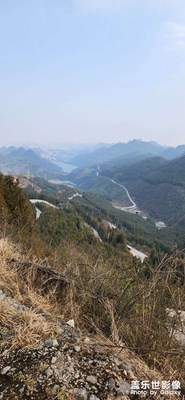 花花世界花花??