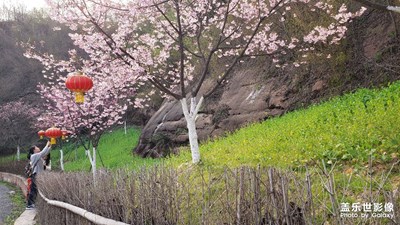 花一開，便有了向往……