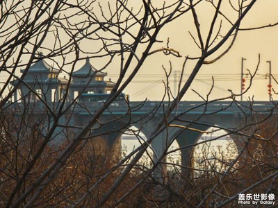 【網(wǎng)紅打卡地】某大橋，某電視塔，某樓