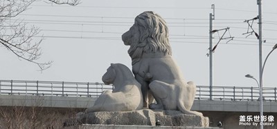 日常隨拍之（瑯獅）