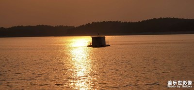 日常隨拍之（金波）