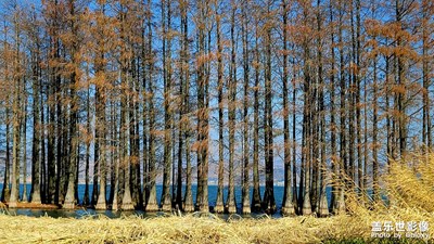 【網(wǎng)紅打卡地】大理洱海