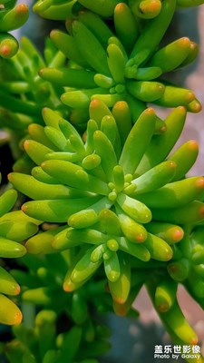 春來(lái)萬(wàn)物蘇