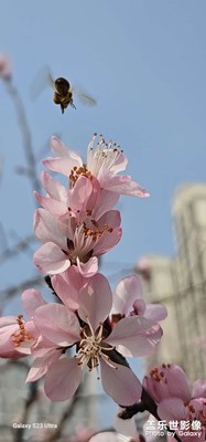 拍照測(cè)試